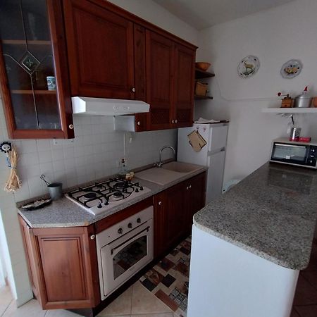 Piccione Marittimo Appartamento Vicinanze Mare Livorno Esterno foto