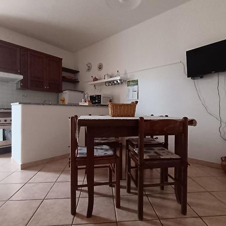 Piccione Marittimo Appartamento Vicinanze Mare Livorno Esterno foto